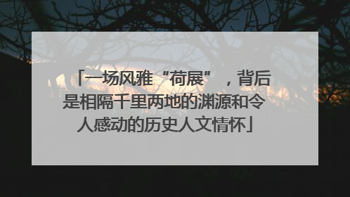 一场风雅“荷展”，背后是相隔千里两地的渊源和令人感动的历史人文情怀