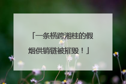 一条横跨湘桂的假烟供销链被摧毁！
