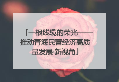 一根线缆的荣光——推动青海民营经济高质量发展·新视角