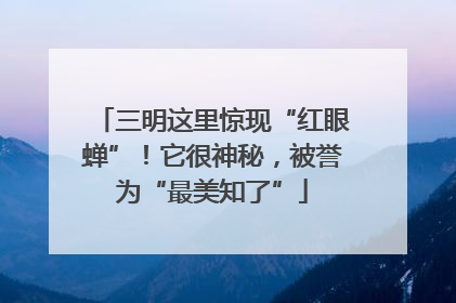 三明这里惊现“红眼蝉”！它很神秘，被誉为“最美知了”