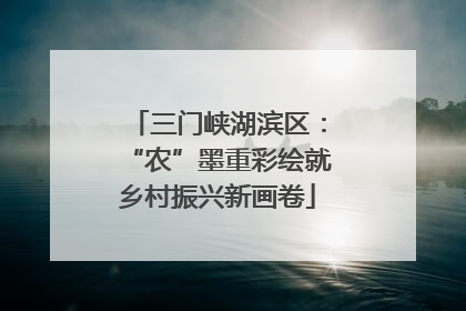 三门峡湖滨区：“农”墨重彩绘就乡村振兴新画卷