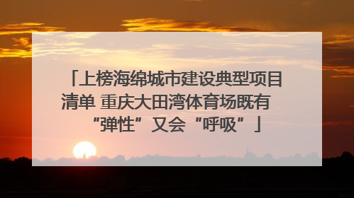 上榜海绵城市建设典型项目清单 重庆大田湾体育场既有“弹性”又会“呼吸”