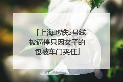 上海地铁5号线被逼停只因女子的包被车门夹住