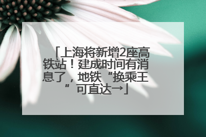 上海将新增2座高铁站！建成时间有消息了，地铁“换乘王”可直达→