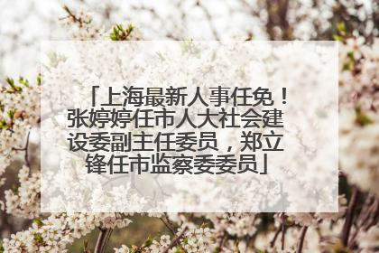 上海最新人事任免！张婷婷任市人大社会建设委副主任委员，郑立锋任市监察委委员