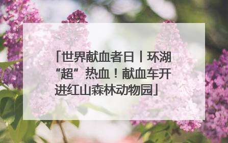 世界献血者日丨环湖“超”热血！献血车开进红山森林动物园