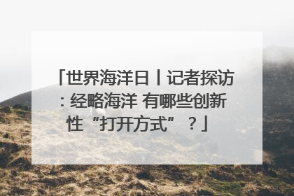 世界海洋日丨记者探访：经略海洋 有哪些创新性“打开方式”？