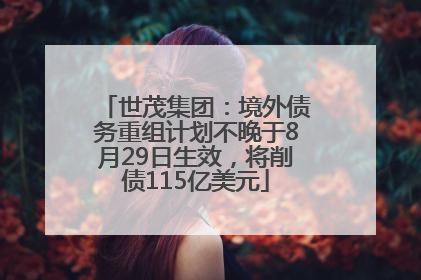 世茂集团：境外债务重组计划不晚于8月29日生效，将削债115亿美元
