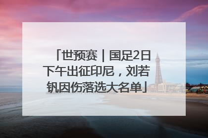 世预赛｜国足2日下午出征印尼，刘若钒因伤落选大名单