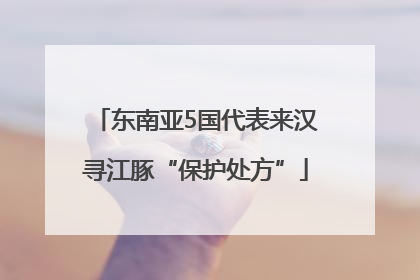东南亚5国代表来汉寻江豚“保护处方”