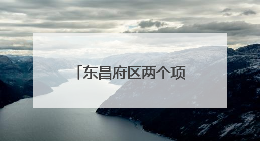 东昌府区两个项目获评“聊城市2024年度法治为民实事”项目