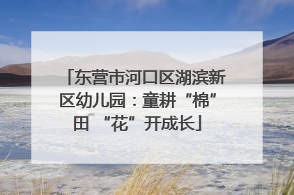 东营市河口区湖滨新区幼儿园：童耕“棉”田 “花”开成长