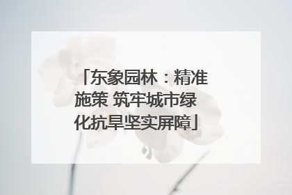 东象园林：精准施策 筑牢城市绿化抗旱坚实屏障