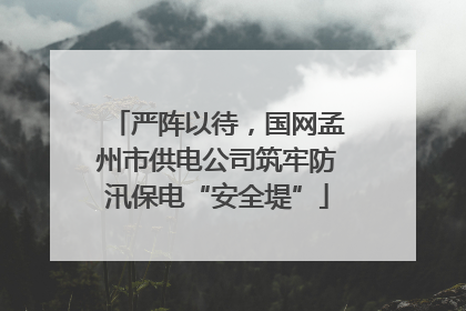 严阵以待，国网孟州市供电公司筑牢防汛保电“安全堤”