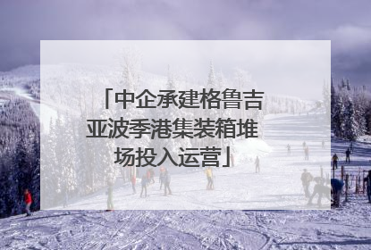 中企承建格鲁吉亚波季港集装箱堆场投入运营