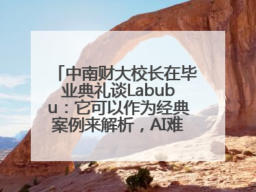 中南财大校长在毕业典礼谈Labubu：它可以作为经典案例来解析，AI难以给出答案