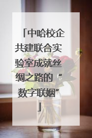 中哈校企共建联合实验室成就丝绸之路的“数字联姻”