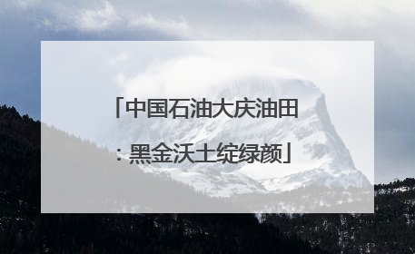 中国石油大庆油田：黑金沃土绽绿颜