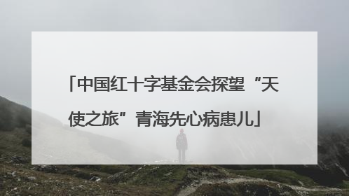 中国红十字基金会探望“天使之旅”青海先心病患儿
