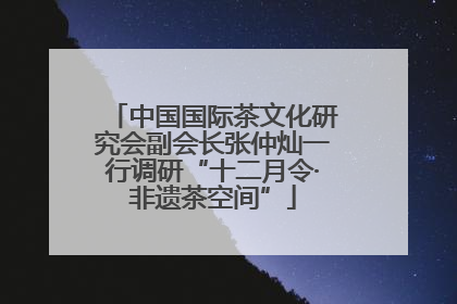 中国国际茶文化研究会副会长张仲灿一行调研“十二月令·非遗茶空间”