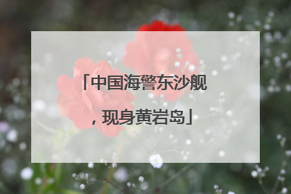 中国海警东沙舰，现身黄岩岛