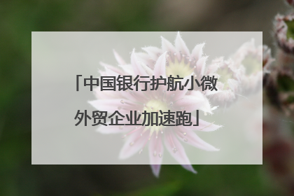 中国银行护航小微外贸企业加速跑