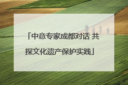 中意专家成都对话 共探文化遗产保护实践