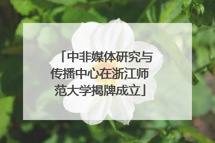 中非媒体研究与传播中心在浙江师范大学揭牌成立