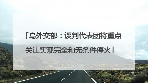 乌外交部：谈判代表团将重点关注实现完全和无条件停火