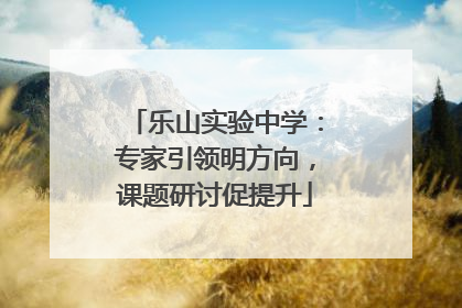 乐山实验中学：专家引领明方向，课题研讨促提升