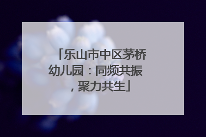 乐山市中区茅桥幼儿园：同频共振，聚力共生