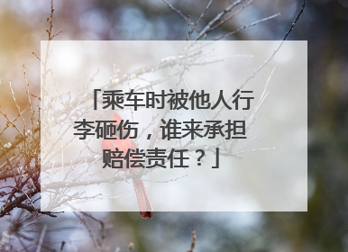 乘车时被他人行李砸伤，谁来承担赔偿责任？