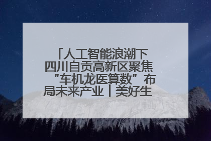 人工智能浪潮下 四川自贡高新区聚焦“车机龙医算数”布局未来产业丨美好生活有“盐”味