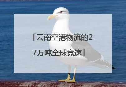 云南空港物流的27万吨全球竞速