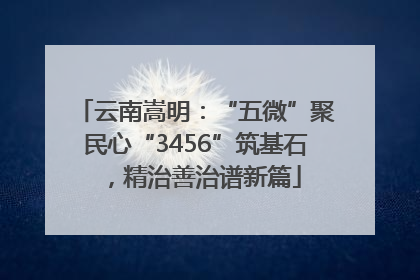 云南嵩明：“五微”聚民心“3456”筑基石，精治善治谱新篇
