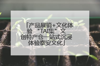 产品展销+文化体验 “TAI集”文创特产仓一站式沉浸体验泰安文化