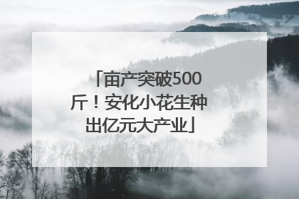 亩产突破500斤！安化小花生种出亿元大产业
