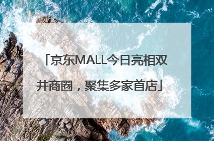 京东MALL今日亮相双井商圈，聚集多家首店