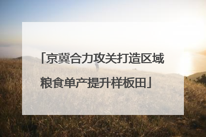 京冀合力攻关打造区域粮食单产提升样板田
