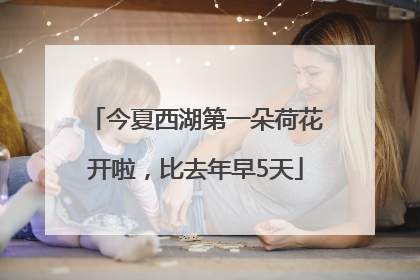 今夏西湖第一朵荷花开啦，比去年早5天