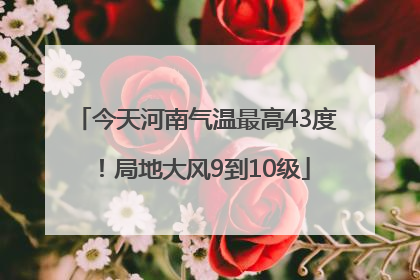 今天河南气温最高43度！局地大风9到10级