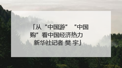 从“中国游”“中国购”看中国经济热力 新华社记者 樊 宇