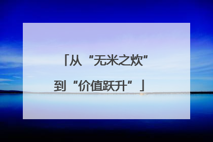 从“无米之炊”到“价值跃升”