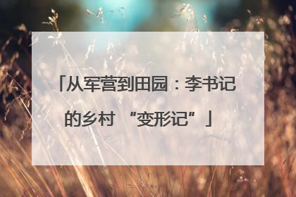 从军营到田园：李书记的乡村 “变形记”
