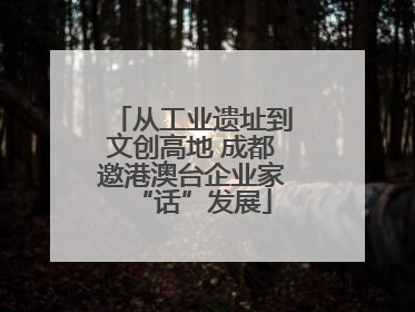 从工业遗址到文创高地 成都邀港澳台企业家“话”发展