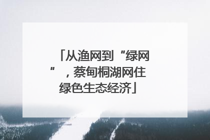 从渔网到“绿网”，蔡甸桐湖网住绿色生态经济