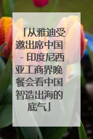 从雅迪受邀出席中国－印度尼西亚工商界晚餐会看中国智造出海的底气