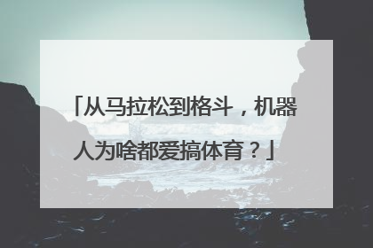 从马拉松到格斗，机器人为啥都爱搞体育？