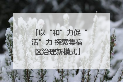 以“和”力促“活”力 探索集宿区治理新模式