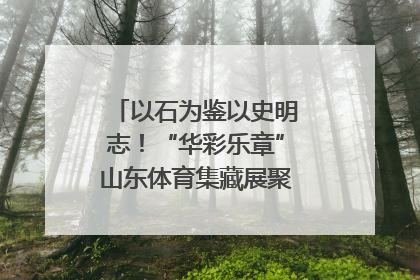 以石为鉴以史明志！“华彩乐章”山东体育集藏展聚焦“岱石丹心”